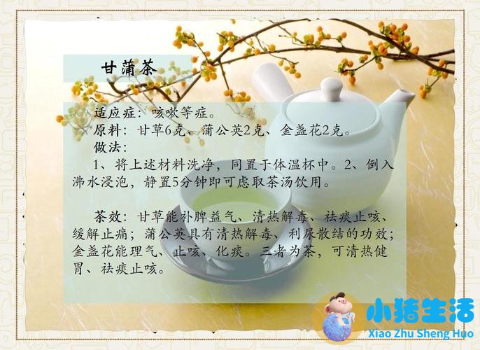 女性养生茶杯