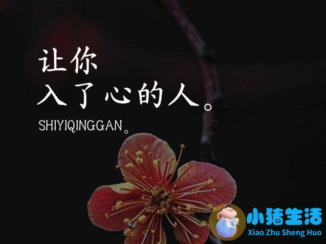 灵魂的吸引是致命的