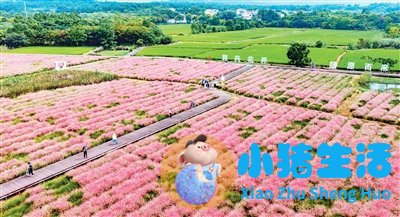 全国婴幼儿早期教育考评管理中心