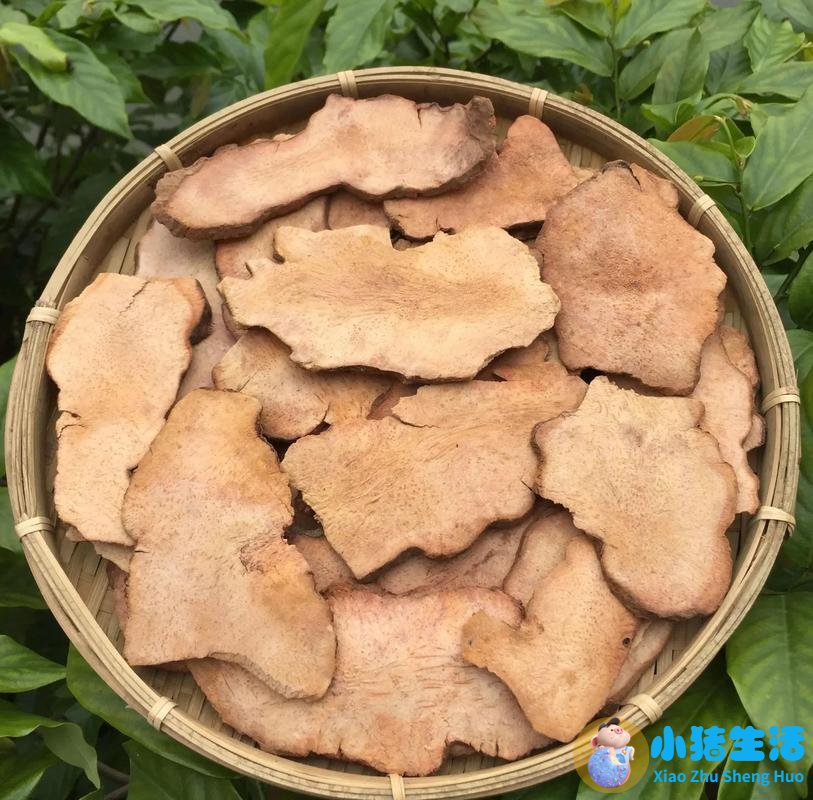 维生素可以溶解痛风石