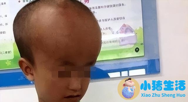 奶粉事件曝光2026