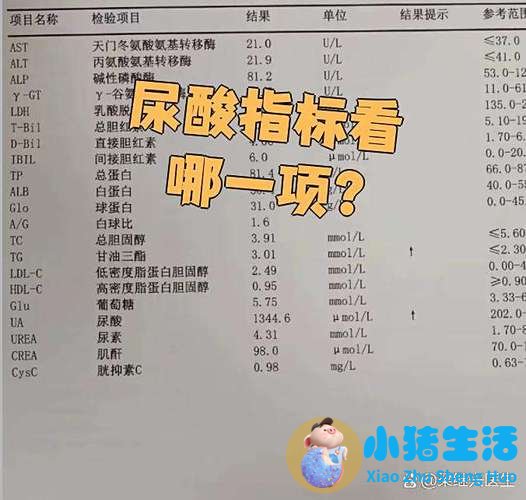 维生素可以溶解痛风石