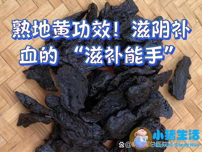 熟地黄的功效与作用及食用方法