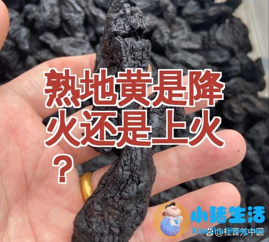 熟地黄的功效与作用及食用方法