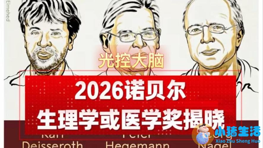 孩子的早期教育