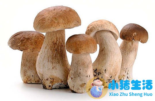 秋冬季养生食品