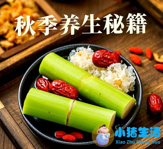 秋冬季养生食品
