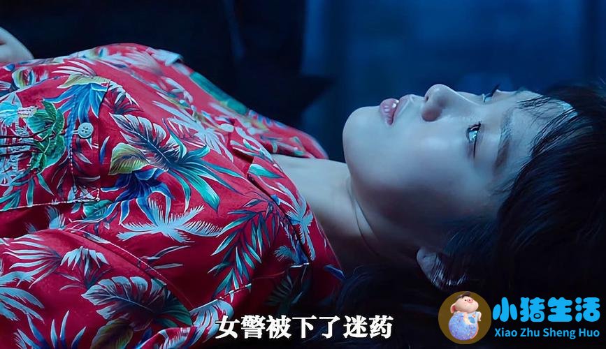 穷男孩追求富女孩视频