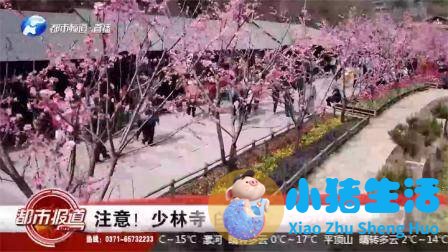 河南多个景区通知，暂停少林寺、白马寺等对外开放！