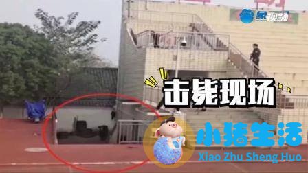 帅不过3秒，耗牛误入校园，威风凛凛逛操场，结果特警来了...