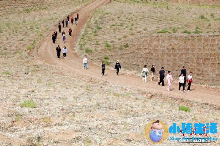 沙海“走”出绿意 甘肃民勤把治沙答卷变