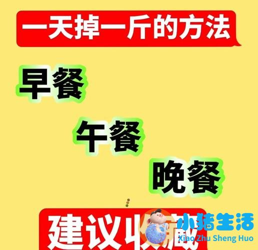 减肥“黄金期”应该怎么吃？掌握科学方