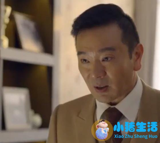 2004年丁黑执导的电视剧