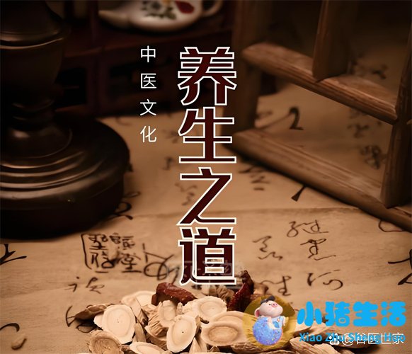 养身之道：健康生活的全面指南